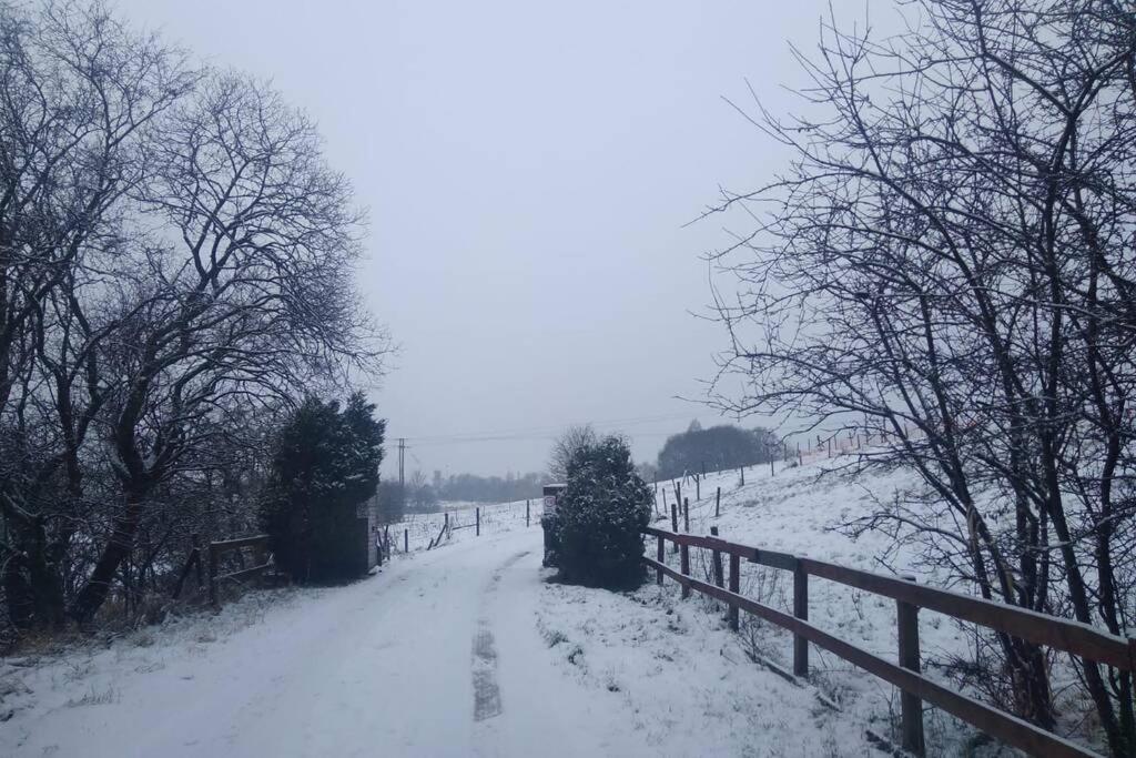 The Cottage - Hot Tub - Nr Glasgow - Self Check-In Coatbridge Zewnętrze zdjęcie